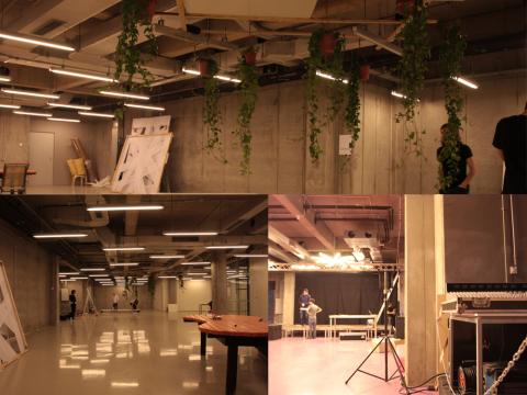 plante